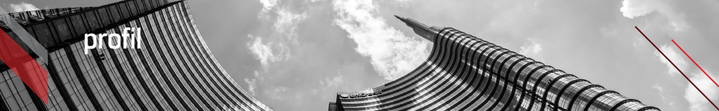 Profile value perusahaan Kingpile