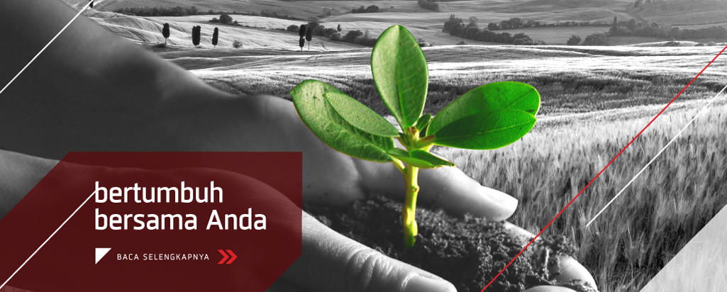 Kingpile bertumbuh bersama anda